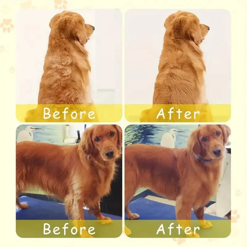 Cepillo eléctrico con humidificador para gatos y perros